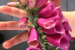 Joan Power3 Joan Power3