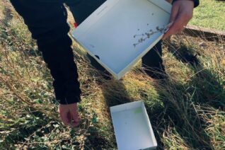 Joan Power6 Joan Power6