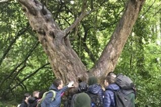 Liz Tiernan 2 Liz Tiernan 2