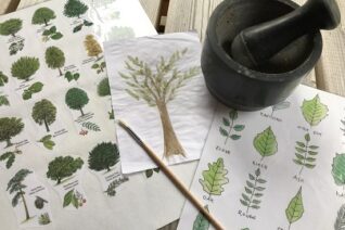 Liz Tiernan 3 Liz Tiernan 3