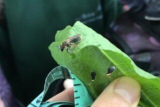 Liz Tiernan 4 Liz Tiernan 4