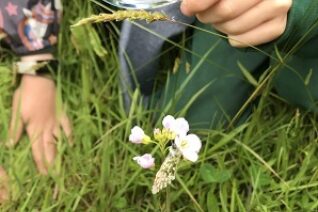 Liz Tiernan 5 Liz Tiernan 5