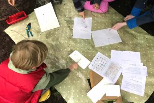 Liz Tiernan 8 Liz Tiernan 8