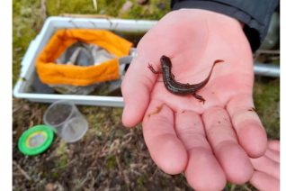 Lorraine Doyle Lorraine Doyle