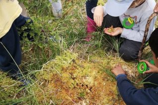 Martina Killian Martina Killian