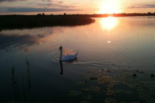 Michéal Coughlan 5 Michéal Coughlan 5