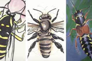 Nessa Darcy Art Nessa Darcy Art