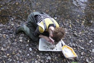 Nessa Darcy Dodder Survey 640X349 Nessa Darcy Dodder Survey 640X349