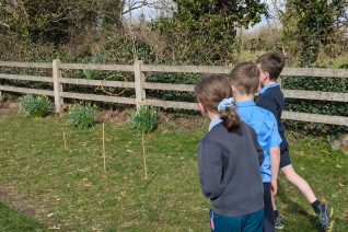 PXL 20250326 140356121