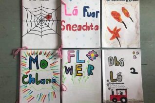 Rachel Ui Fhaolain2 Rachel Ui Fhaolain2