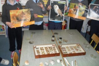 Robin Barry2 Robin Barry2