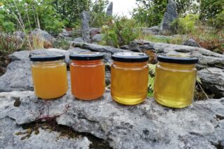 Robin Barry3 Robin Barry3