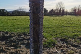 Sarah Myers3 Sarah Myers3