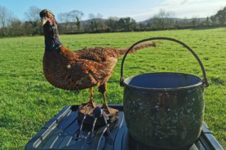 Sarah Myers4 Sarah Myers4