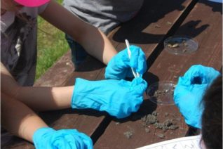 Seamus Ó Dubhagáin 4 Seamus Ó Dubhagáin 4