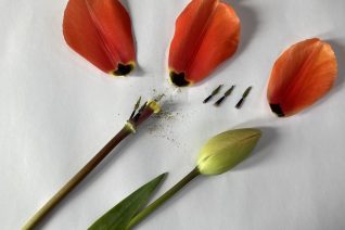 Sinead Keane3 Sinead Keane3