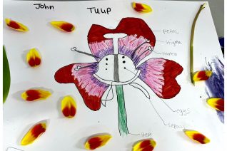 Sinead Keane5 Sinead Keane5