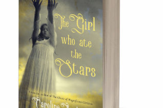 The Girl Who Ate The Stars 3 D Cover