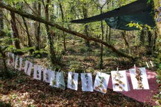 Veronica Mc Guire 2 Veronica Mc Guire 2