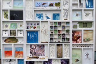 Cabinet Of Curiosities Cabinet Of Curiosities