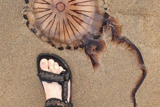 Mcoughlane 1 Mcoughlane 1