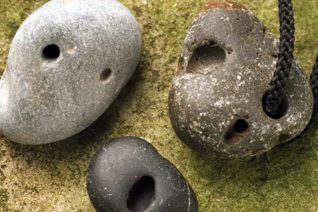 Simon O Dwyer 5 Simon O Dwyer 5