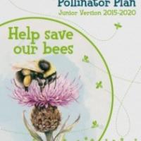 All-Ireland Pollinator Plan - Junior version
