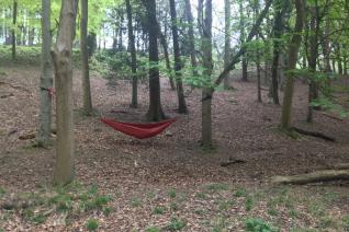 Barna woods forest school Barna woods forest school