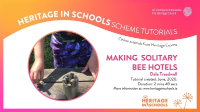 Solitary bee hotels: Dale Treadwell Solitary bee hotels: Dale Treadwell