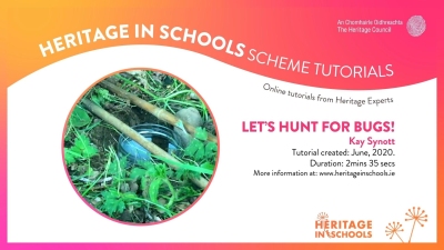 Let's hunt for bugs!: Kay Synott Let's hunt for bugs!: Kay Synott