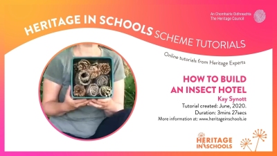 How to build an insect hotel: Kay Synott How to build an insect hotel: Kay Synott