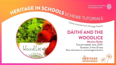 Dáithí and the Woodlice: Martina Butler Dáithí and the Woodlice: Martina Butler