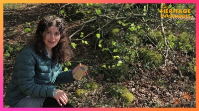 Music of the Plants Part 2 (Beech Tree): Marina Levitina Music of the Plants Part 2 (Beech Tree): Marina Levitina