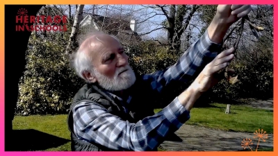 Noticing nature in your local park: Dr Paddy Madden Noticing nature in your local park: Dr Paddy Madden