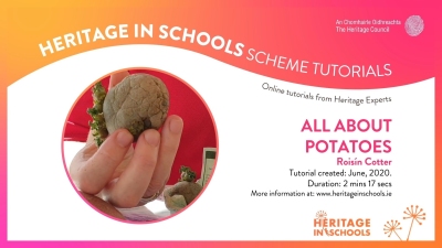 All about potatoes: Roisín Cotter All about potatoes: Roisín Cotter