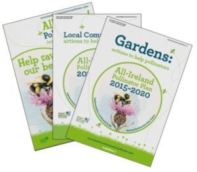 Pollinators - Local Communities: Actions to Help Pollinators Pollinators - Local Communities: Actions to Help Pollinators