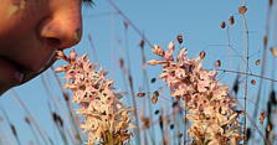 Biodiversity Quiz! Biodiversity Quiz!