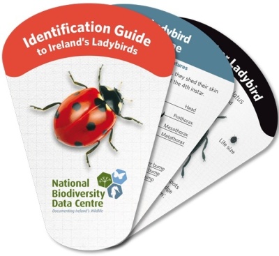 Ireland's Biodiversity: Ladybirds