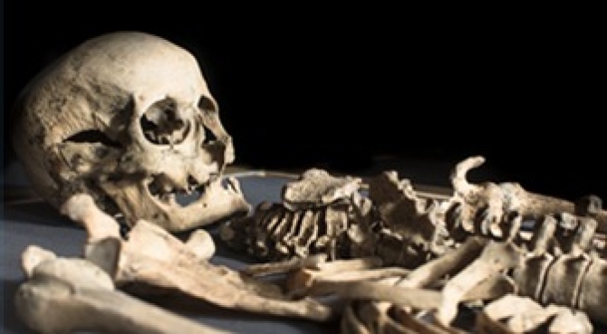 Dublinia 4 Dublinia 4