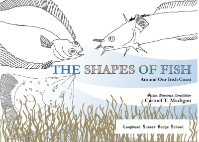 'Shapes of Fish' by Carmel T. Madigan