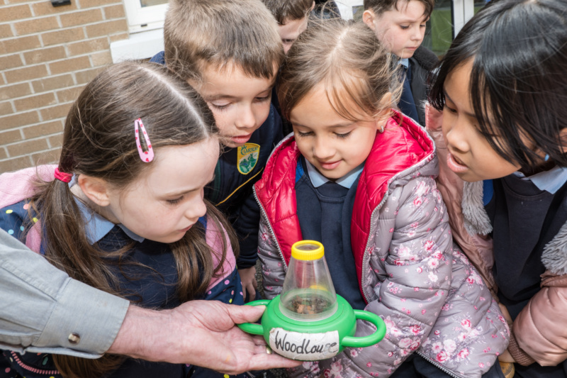 Biodiversity Week 2022 P Madden 2