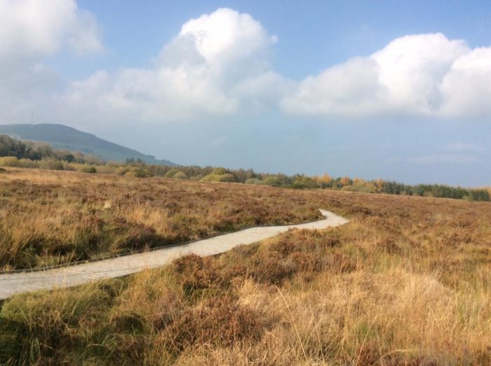 Ballyhoura Outdoor Classroom