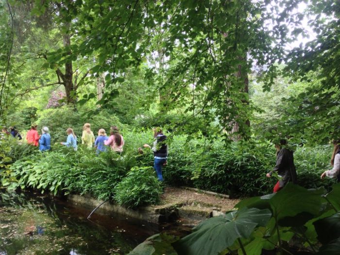 Blackstairs Eco Trails