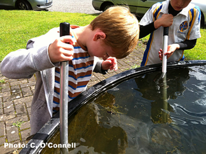 Bog of Allen Nature Centre