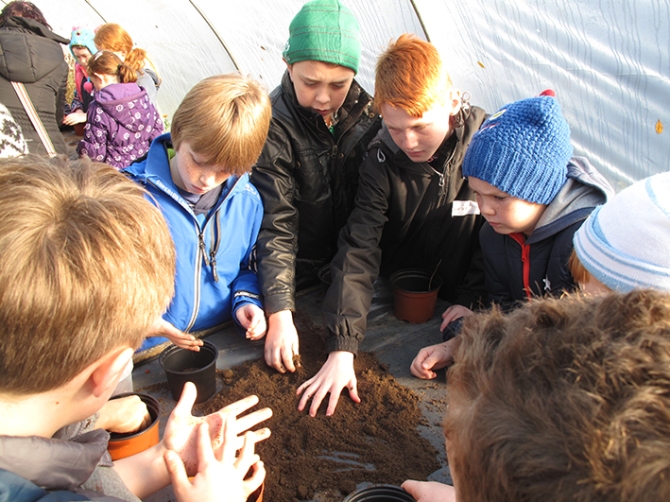 Boys Sowing Seeds Boys Sowing Seeds