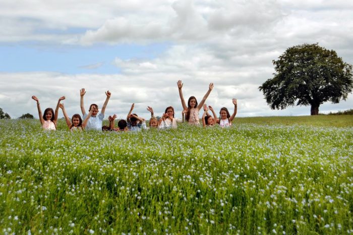 Clogher Heritage Centre