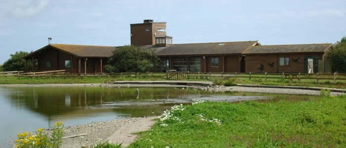 Wexford_wildfowl_reserve02.jpg#asset:2518