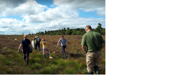 Carn Park Bog