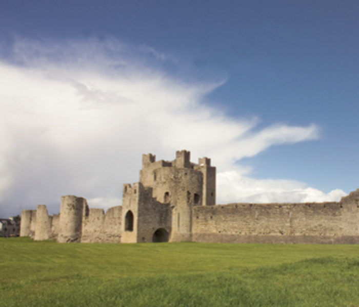 Trim Castle