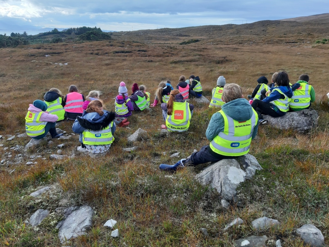 Project Bog LIFE IP Wild Atlantic Nature - Blanket bog school programme - Project ...